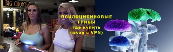 молекула духа Белокуриха