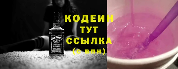 молекула духа Белокуриха