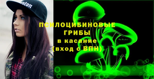 молекула духа Белокуриха