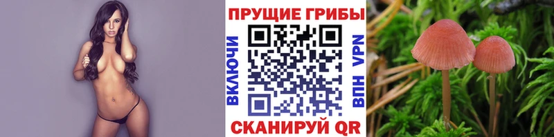 Галлюциногенные грибы прущие грибы  где продают   Няндома 